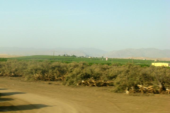 17-Californie 0008.JPG
